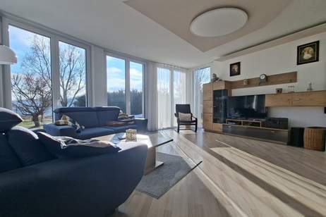 Luxus und Natur vereint - Modernes Wohnen in einmaliger Aussichtslage, Haus-kauf, 689.000,€, 2732 Neunkirchen