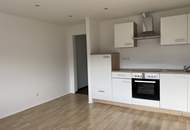 neuwertige 3 Zi-Wohnung +kleiner Gartenanteil