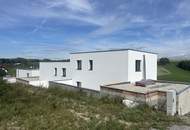 Moderne Doppelhaushälfte mit Pool in Gerling!