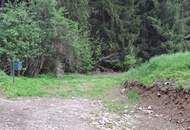 Sanierungsobjekt in Alleinlage für kreative Köpfe und Investoren in Oberkärnten. Rakowitzen.