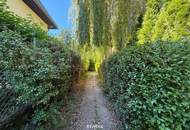 In MAUER uneinsichtiges Gartenparadies