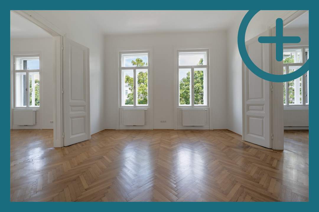 GENERALSANIERTER ALTBAUTRAUM IN DER WIDERHOFERGASSE