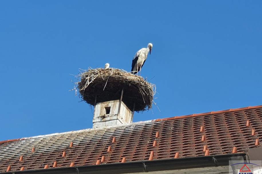 Schöne, geräumige Familienresidenz mit großem Garten und Carport!, Haus-kauf, 4902 Vöcklabruck