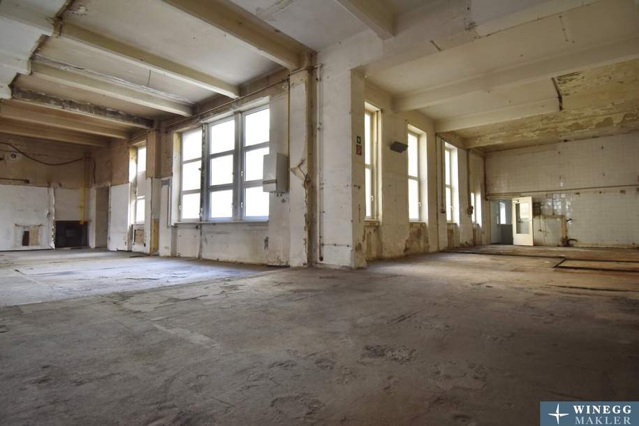 Exklusives Industrie-Loft im Herzen Wiens – Ein Raum für Visionäre und Individualiste, Wohnung-kauf, 2.250.000,€, 1070 Wien 7., Neubau