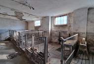 Großzügiges Mehrfamilienhaus mit viel Potenzial