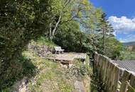 Schlossblick! Charmantes Einfamilienhaus in Gloggnitz am Silbersberg!!