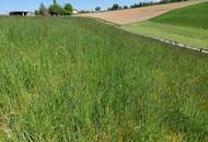 landwirtschaftlicher Grund mit guter Anbindung