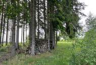 Landschaftsteich mit kleinem Waldanteil (Provisionsfrei)