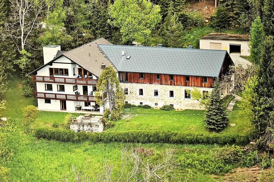 Ein Ort der Ruhe und Möglichkeiten – Vielseitige Liegenschaft in Traumlage, Haus-kauf, 1.500.000,€, 8241 Hartberg-Fürstenfeld
