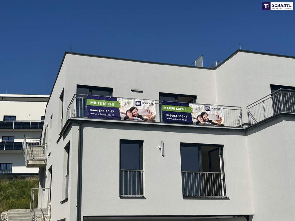 Exklusive Doppelhaushälfte in den Weinbergen - Höchste Energieeffizienz mit Erdwärmeheizung für modernes Wohnen und Genießen!