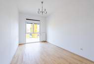 "Where the Alte Donau Becomes Home"