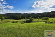 Dreikanthof im Grazer Bergland!