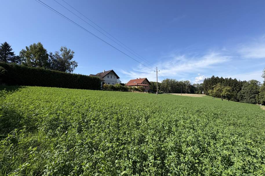 Attraktives Baugrundstück in herrlicher Grünlage ohne Bauverpflichtung!, Grund und Boden-kauf, 148.000,€, 4624 Wels-Land
