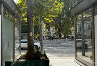 Höchste Sichtbarkeit direkt bei Schönbrunn | Ablösefreie Geschäftsfläche