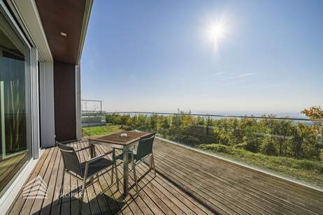 Einzigartiger Blick über Wien! Garconniere mit Terrasse am Kahlenberg, Wohnung-miete, 1.432,48,€, 1190 Wien 19., Döbling