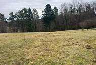 Baugrundstück in absoluter Ruhelage