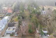 Wo die Seele ihr Zuhause findet: Ein Kunstwerk zwischen Wald und Wien