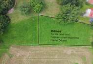 Großzügige Grundstücke für Land- und Forstwirtschaft. Baldramsdorf. Spittal an der Drau. Wald und Wiese.