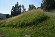 Natur pur am Vöcklaberg: Preiswertes Hanggrundstück in absoluter Ruhelage