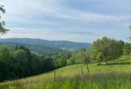 RUHIGE AUSSICHTSLAGE AN DER GRÜNLANDGRENZE