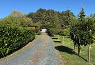 Attraktiver Bungalow auf einem großzügigen, sonnigen Grundstück in ruhiger Südlage