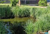 "Erstklassiges Wohnhaus mit Garten bei Gänserndorf"