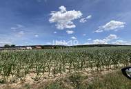 Provisionsfrei !!! Leben in der Natur