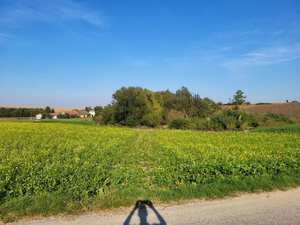 LANDWIRTSCHAFTLICHE FLÄCHE BEI HERZOGENBURG