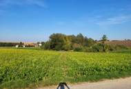 LANDWIRTSCHAFTLICHE FLÄCHE BEI HERZOGENBURG