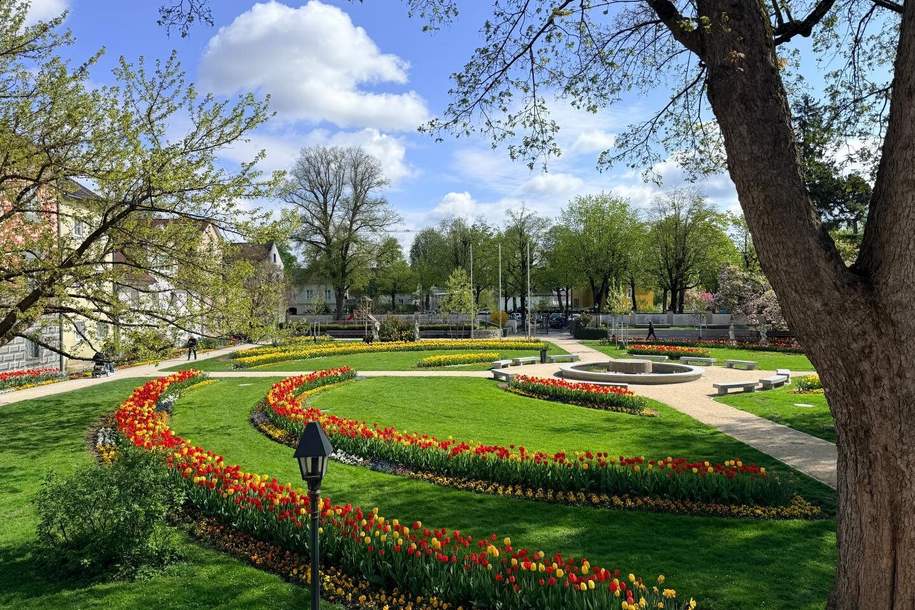 Wohnen am Burggarten * mitten in Wels und doch im Grünen, Wohnung-kauf, 149.500,€, 4600 Wels(Stadt)