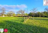 🏡 Ein Stück Erde für große Pläne – Baugrund in Ternitz 🌳