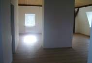 Hundebesitzer aufgepasst! Gemütliche Wohnung/Ferienwohnung in Traumnatur!