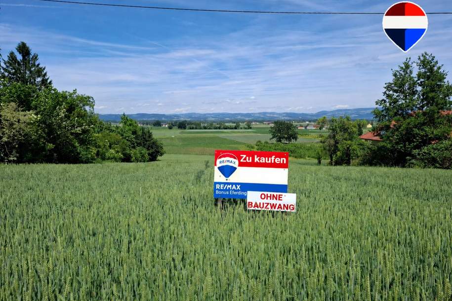 Sichern Sie sich Ihren Platz im Grünen – Baugrundstück mit Fernblick in Alkoven, Grund und Boden-kauf, 239.000,€, 4072 Eferding