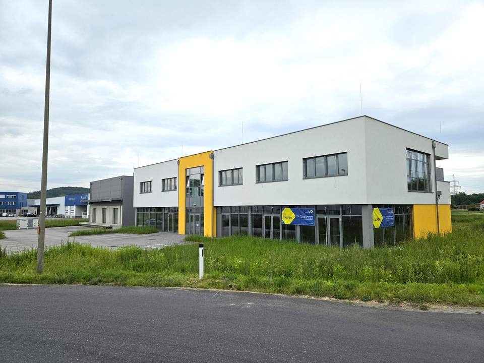 Gewerbeobjekt - 4030 Linz, Im Südpark