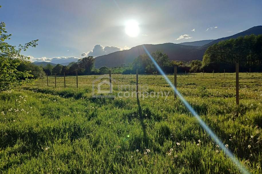 Gartenflächen am Ortsrand von Willendorf mit Grünblick 19,50 per m², Gewerbeobjekt-kauf, 20,€, 2732 Neunkirchen