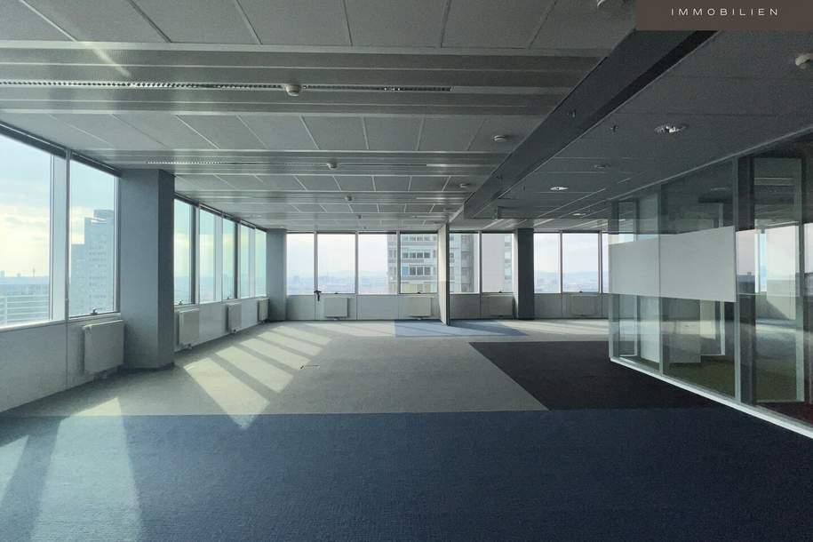 + + + ca. 1.500 m² Büro mit Ausblick + + + SATURN TOWER + + +, Gewerbeobjekt-miete, 24.650,00,€, 1220 Wien 22., Donaustadt