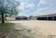 Günstige, teilbare Lagerhallen in Traismauer/NÖ zu vermieten!