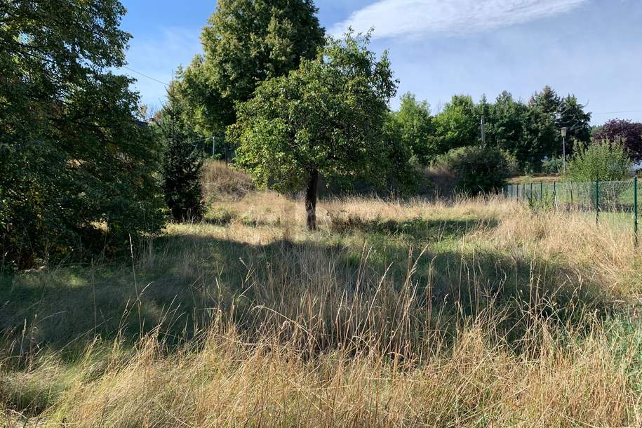 AUFGESCHLOSSEN EINGEZÄUNT NAHE ZENTRUM, Grund und Boden-kauf, 198.000,€, 7202 Mattersburg