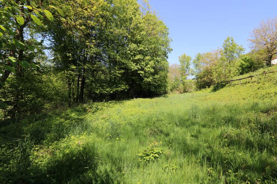 Ihr Traum vom Eigenheim - attraktives Grundstück in beliebter Lage., Grund und Boden-kauf, 450.000,€, 4600 Wels-Land