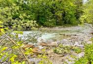 Naturgenuss pur! Ruhige, möblierte Wohnung