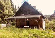 RUHE AM WALDRAND ÜBER DER NEBELGRENZE