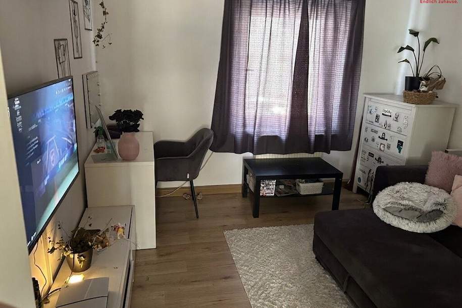 Charmanter Wohn(t)raum für Singles und Paare! Preiswerte 2-Raum-Wohnung mit praktischer Raumaufteilung in ausgezeichneter Lage - helle Essküche und modernes Badezimmer!, Wohnung-miete, 403,93,€, 4400 Steyr(Stadt)
