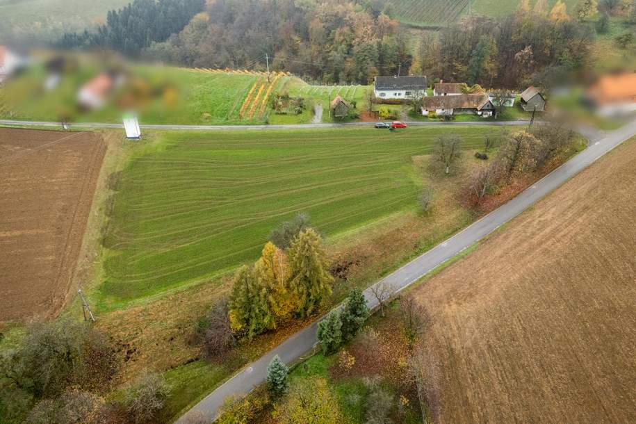 Ihr Stück Paradies unweit von Graz, am Beginn des Südsteirischen Weinlandes – Landwirtschaft mit Potenzial, Gewerbeobjekt-kauf, 489.000,€, 8505 Leibnitz