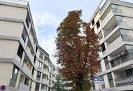 Tolle 2-Zimmer Dachgeschosswohnung mit großer Terrasse - nahe U4/U6 Längenfeldgasse