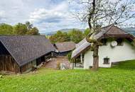 Feistritz im Rosental - idyllisches Häuschen für Singles oder Paare mit Nebengebäuden