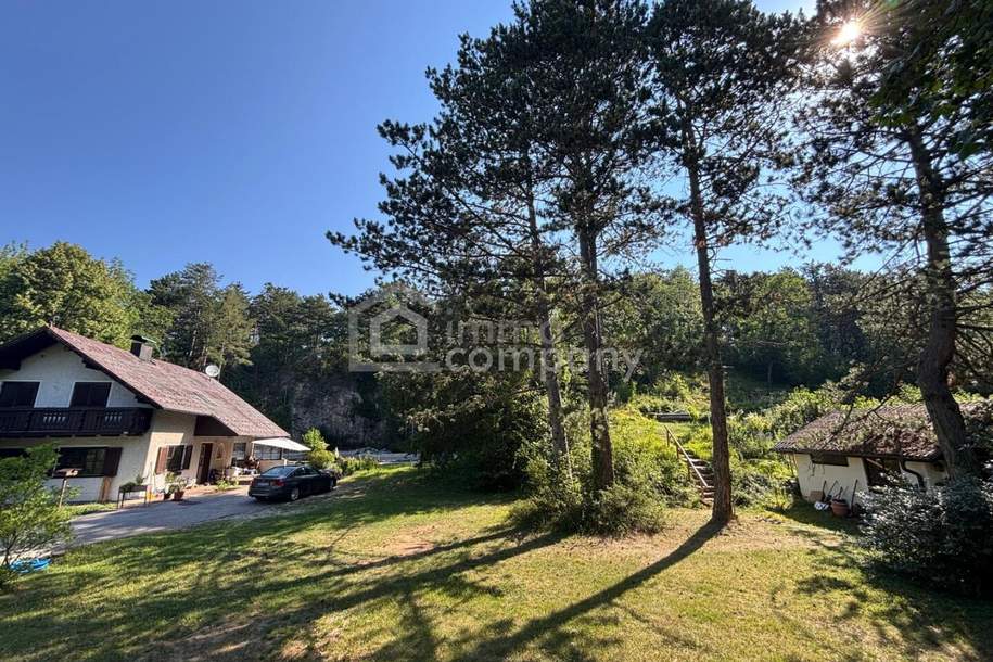 Ein Traum für alle Naturliebhaber!, Haus-kauf, 785.000,€, 2823 Wiener Neustadt(Land)