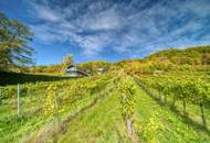 Exklusives Traumhaus zur Miete mit Panoramablick auf die Weinberge