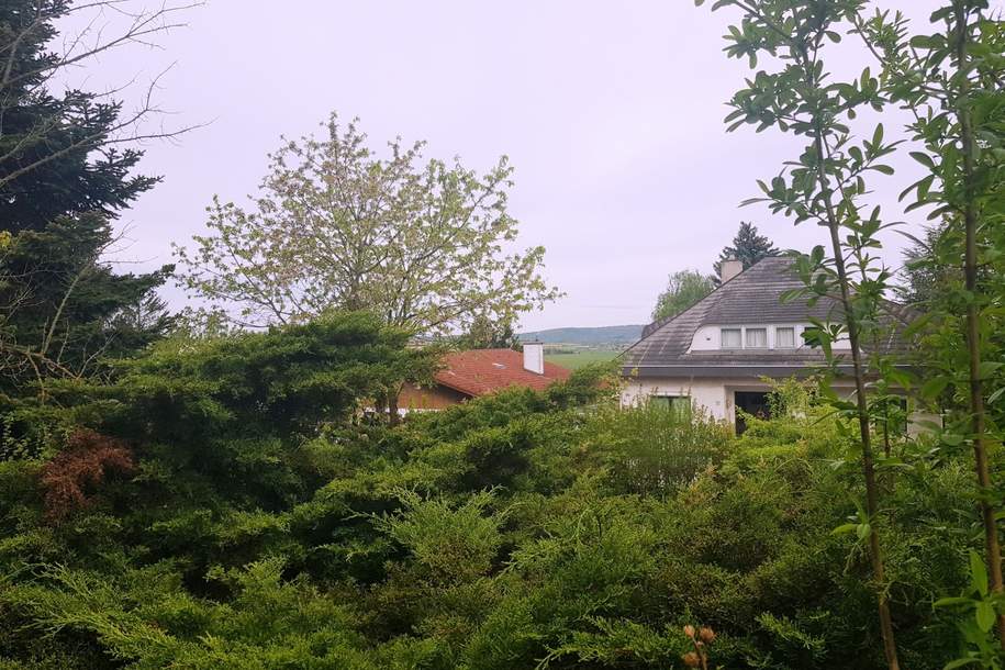 blick