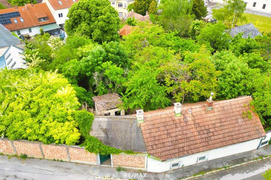 PREIS REDUZIERT! HANDWERKER GESUCHT! Haus in Matzen, Haus-kauf, 89.000,€, 2243 Gänserndorf