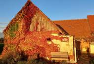 Sofort beziehbares Bauernhaus mit großem Grund in Aussichtslage